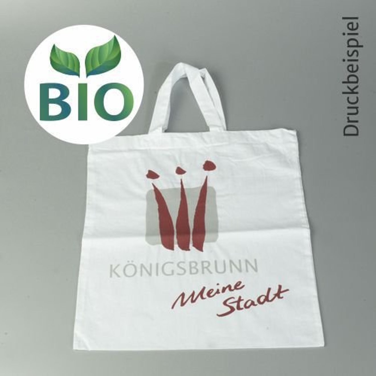 csm_bio_kurz_28a7ea6101