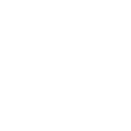 Format Icon Darstellung 