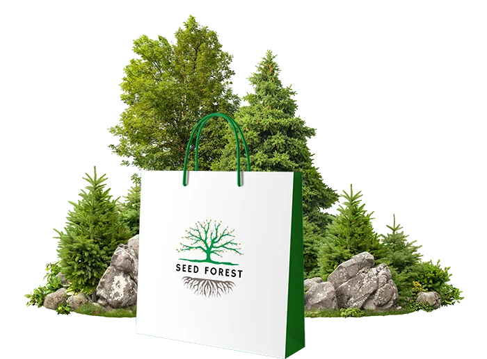 teaser image environment bag with tree 